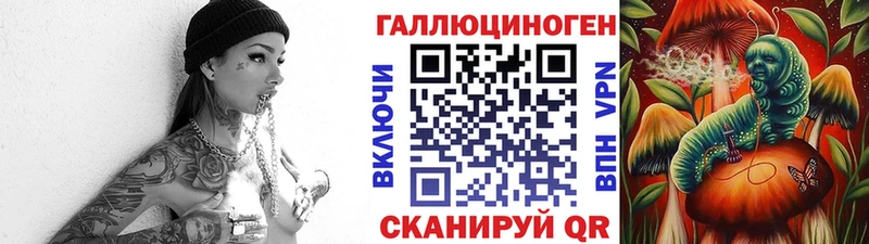 Псилоцибиновые грибы Psilocybine cubensis KRAKEN ONION Зверево